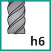 P_Schneidentol._F_ISO_h6_(P350)