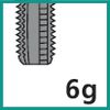 P_Schneidentol._G_6g_(P350)