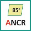 Schneideinsatz (ANCR)