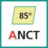 Schneideinsatz (ANCT)