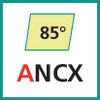Schneideinsatz (ANCX)