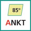 Schneideinsatz (ANKT)