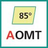 Schneideinsatz (AOMT)
