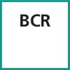Schneideinsatz (BCR)