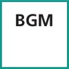 Schneideinsatz (BGM)