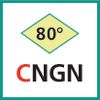 Schneideinsatz (CNGN)