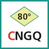 Schneideinsatz (CNGQ)