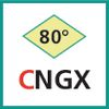 Schneideinsatz (CNGX)