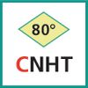 Schneideinsatz (CNHT)
