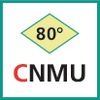 Schneideinsatz (CNMU)