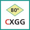 Schneideinsatz (CXGG)