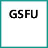 Schneideinsatz (GSFU)