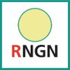 Schneideinsatz (RNGN)