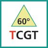 Schneideinsatz (TCGT)