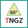 Schneideinsatz (TNGZ)