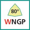 Schneideinsatz (WNGP)