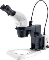 product.Data.ShortName