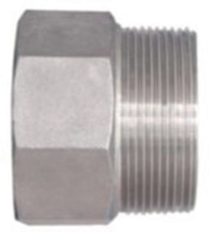 Threaded adapter with NPT/R thread with internal/external thread | BRW-CH