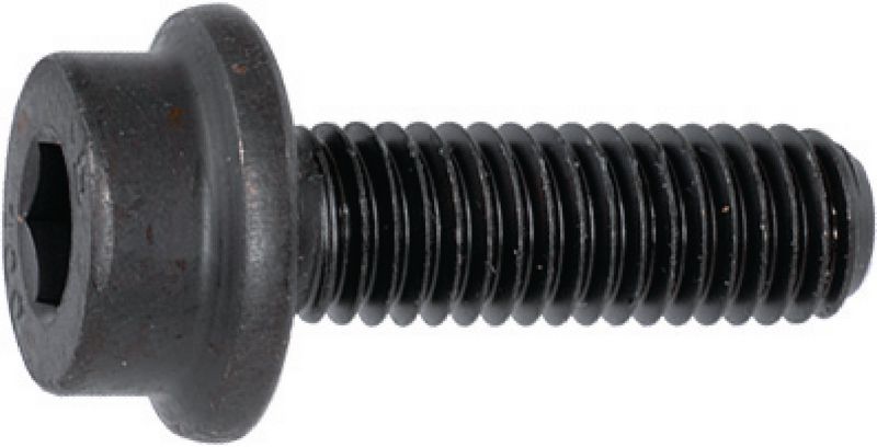 Socket cap screws with ribbed flange INBUS RIPP® | BRW